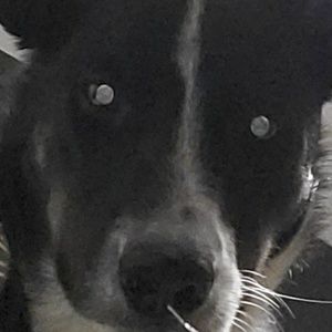Meet your Posher, Jayda